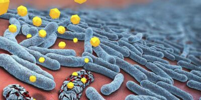 gram negative bacteria being attacked by antibiotics