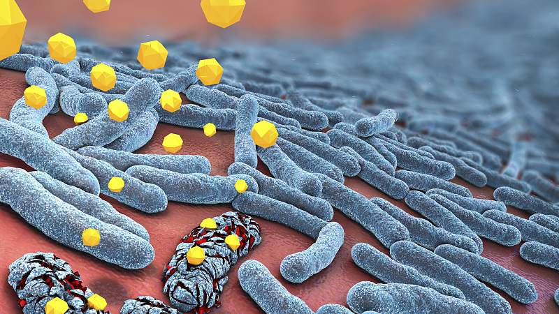 gram negative bacteria being attacked by antibiotics