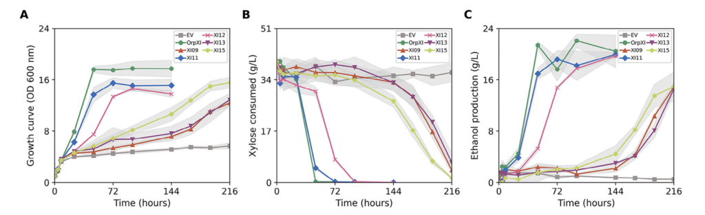 Figure 6 from the research article, illustrates cell growth, xylose consumed and ethanol yield compared to the control group.