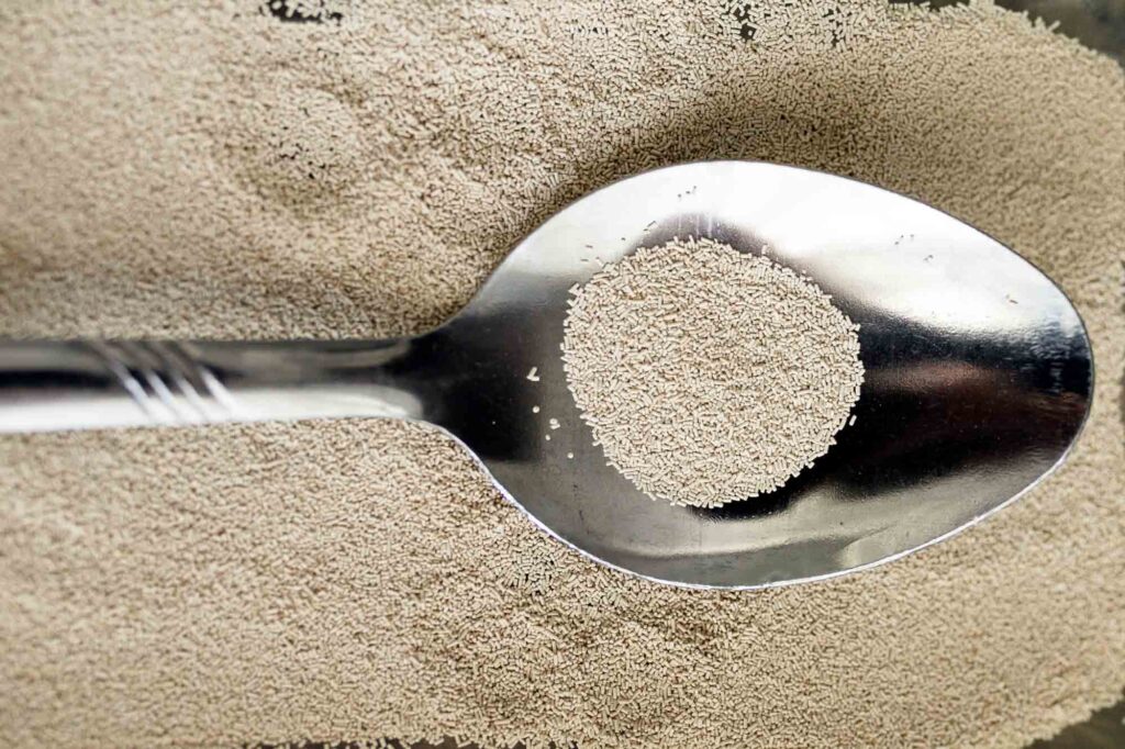 Brewer's yeast