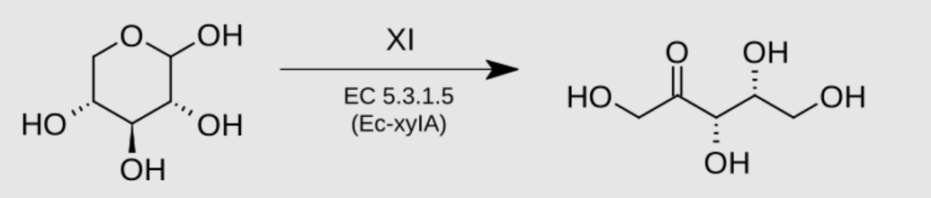 Xylose conversion into xylulose by xylose isomerase
