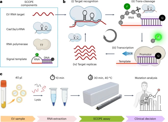 scientific figure describing the SCOPE components, assay flow, and workflow